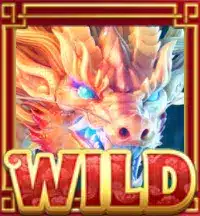 สัญลักษณ์ WILD