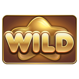 สัญลักษณ์ wild