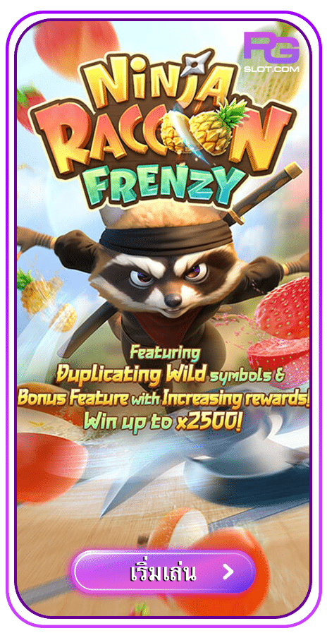 Ninja Raccoon Frenzy