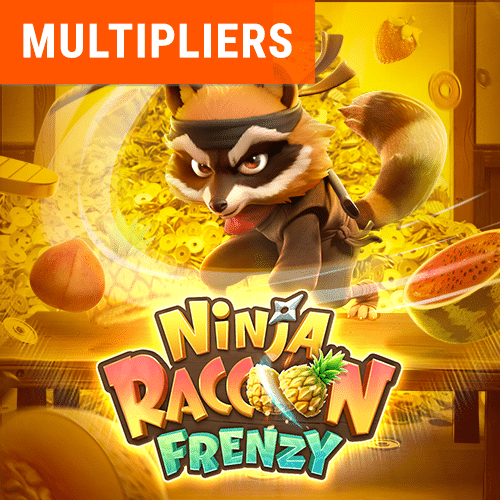 ninja raccoon frenzy web banner en